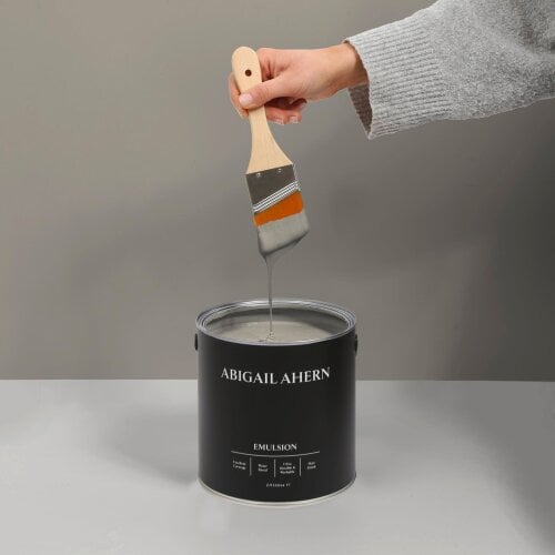 Abigail Ahern Emulsion 2.5L - Loch Reeds