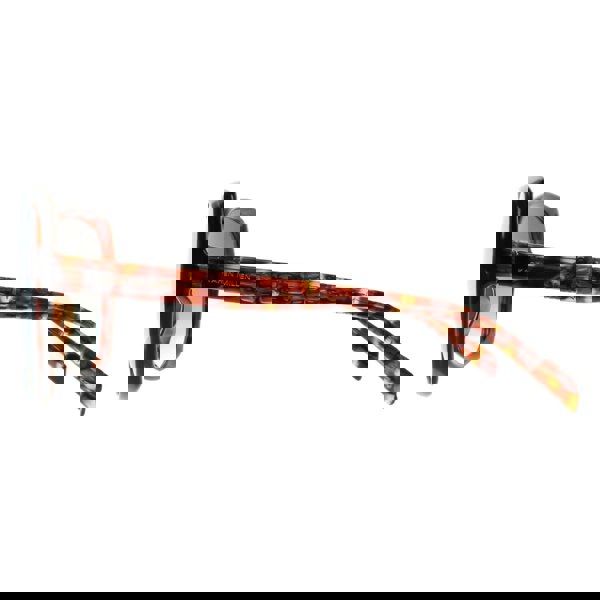 Karen Millen Sunglasses KM5055 102 Havana Grey