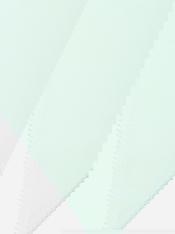 GUES5181_MINT_HINT_4