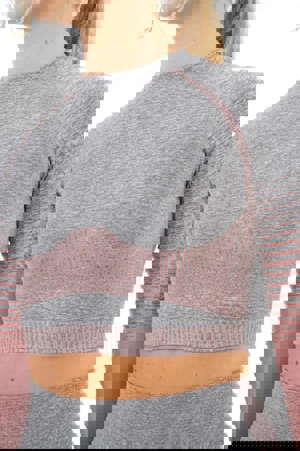 Smart Living Women's Gradient Stripe Seamless Long Sleeve Crop Top - Grey Marl / Pink