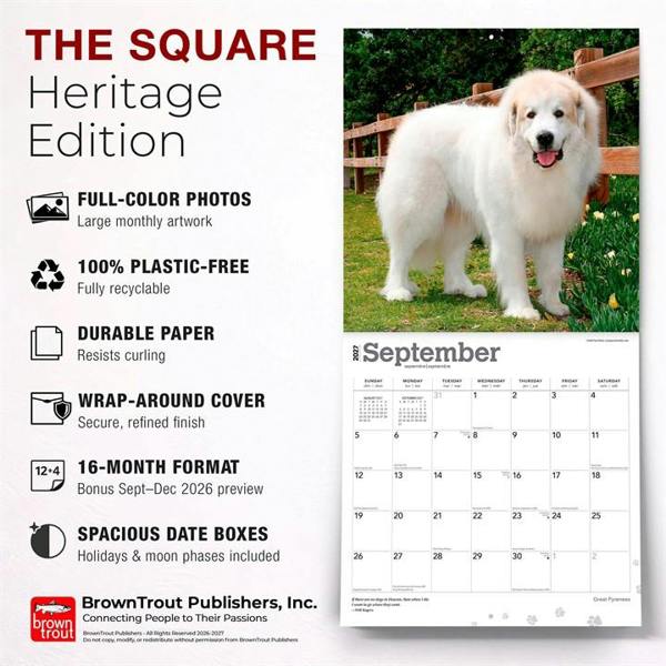 Great Pyrenees Calendar 2027, Wall Calendars, Month To View, Dogs, Gift