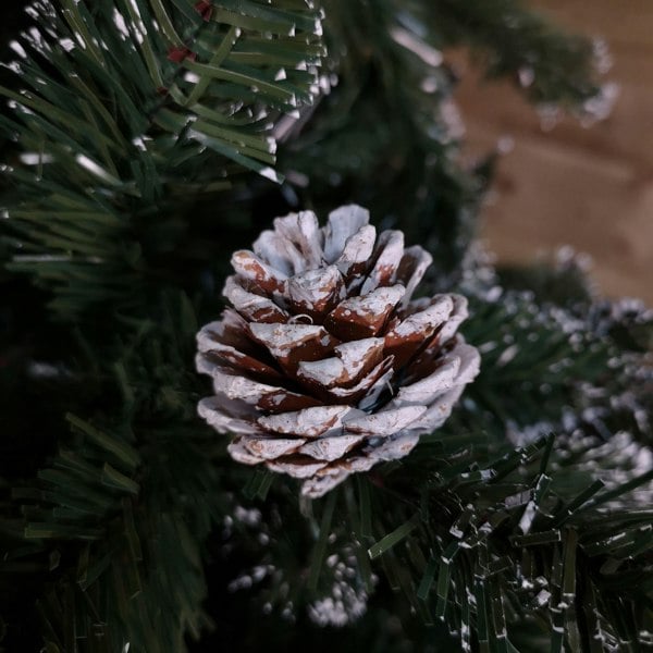 Samuel Alexander 2.4m /8ft Rocky Mountain Pine Green Artificial Christmas Tree Snow Tip and Pine Cones