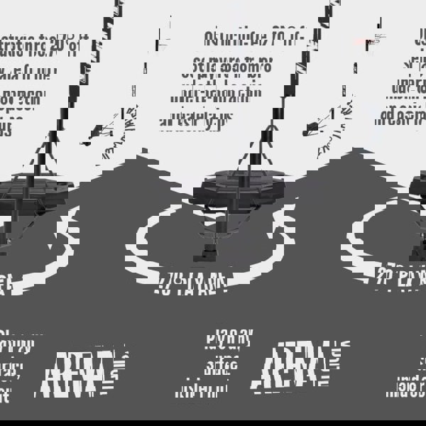 NET1 Arena Basketball Hoop