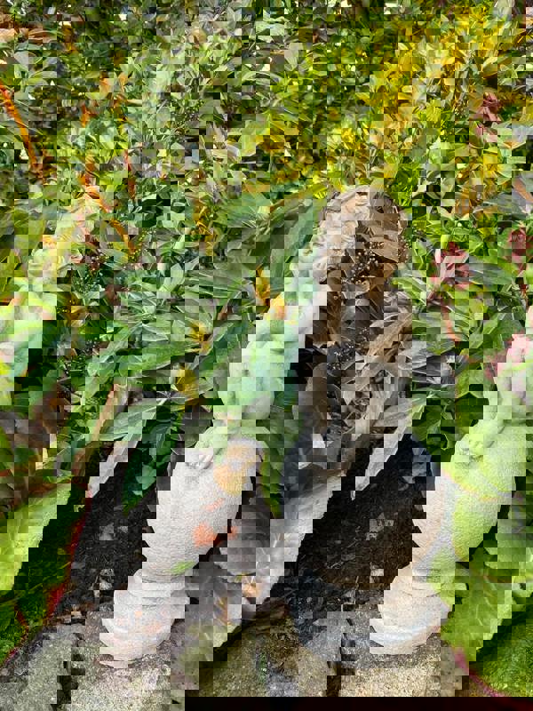 Adorable Stone Cast Boy on Ball Statue