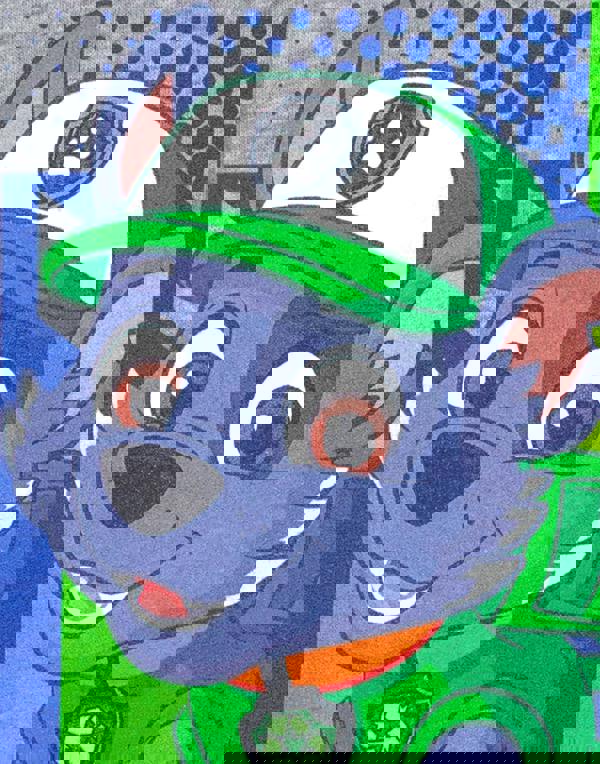 Paw Patrol Boys Grey Rocky Short Sleeved T-Shirt