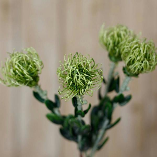 Wyld Haus Set of 3 Artificial Flowers Green Pincushion Protea Sprays