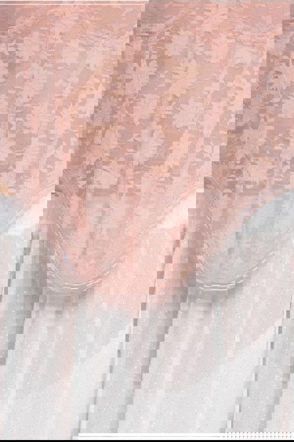 Textured Floral Mesh Corset T254