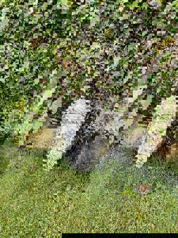 Tree Trunk Stone Wall Plaque