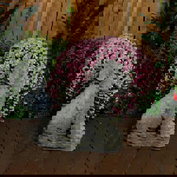 Large Schnauzer Stone Dog garden ornament 