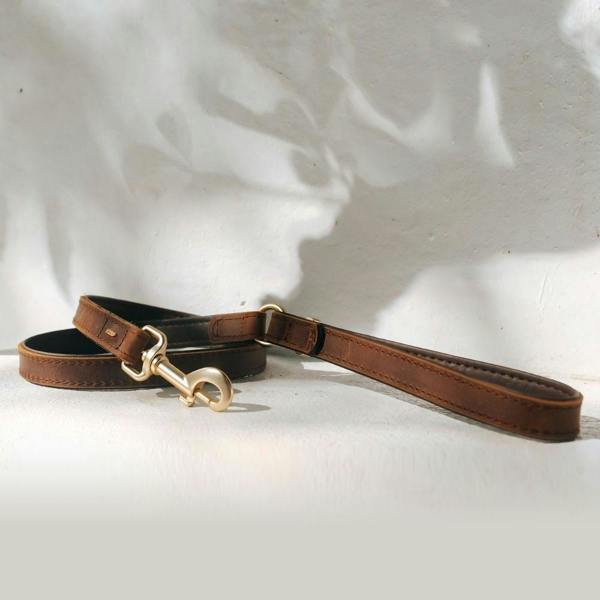 EzyDog Oxford Leather Classic Dog Lead in Brown