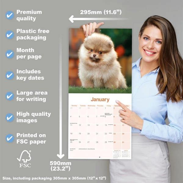 Pomeranian Calendar 2027, Wall Calendars, Month To View, Dogs, Gift