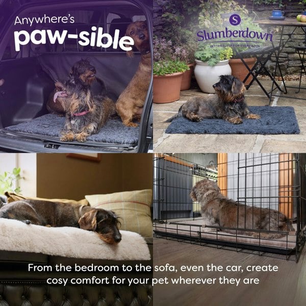 Slumberdown Paws for Slumber Vet Mat