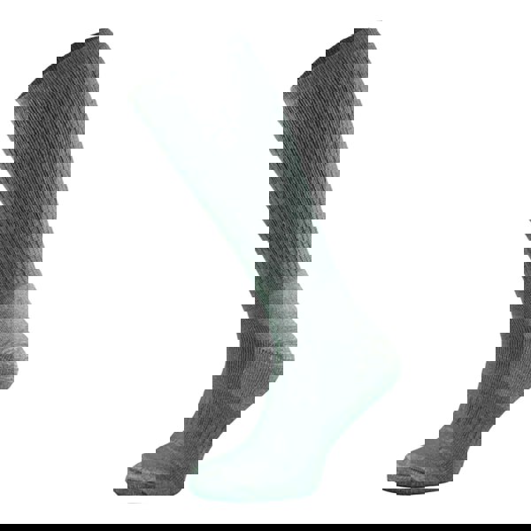 t4option1_1