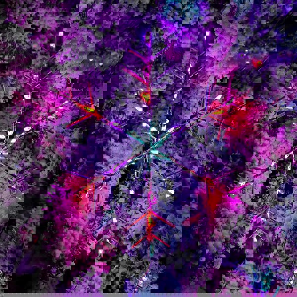 Samuel Alexander 2.6m Set of 10 Snowflake Curtain Lights 258 Rainbow LEDs MicroBrights String Lights