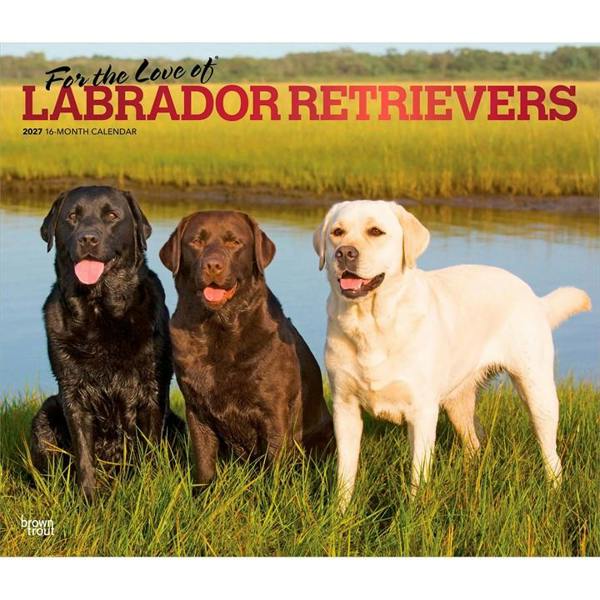 For The Love Of Labrador Retrievers Deluxe Calendar 2027, Deluxe Calendars, Month To View, Dogs, Gift
