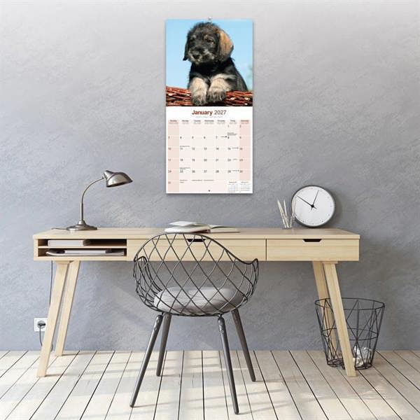 Schnauzer Calendar 2027, Wall Calendars, Month To View, Dogs, Gift