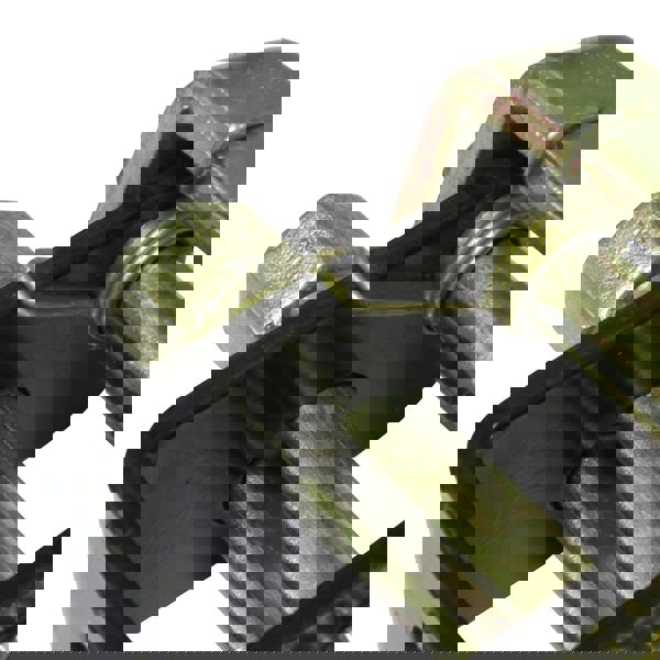 Trailer Tie Down Lashing Winch 50MM 5T (Webbing Ratchet Strap Tensioning 2" 5000KG)