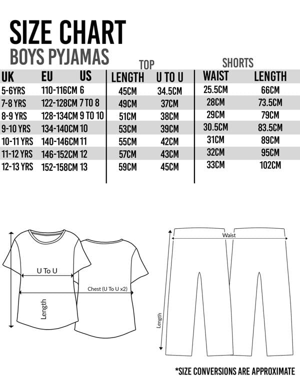 WWE Boys Grey Wrestlers Photographic Print Short Sleeve Long Leg Pyjama Set