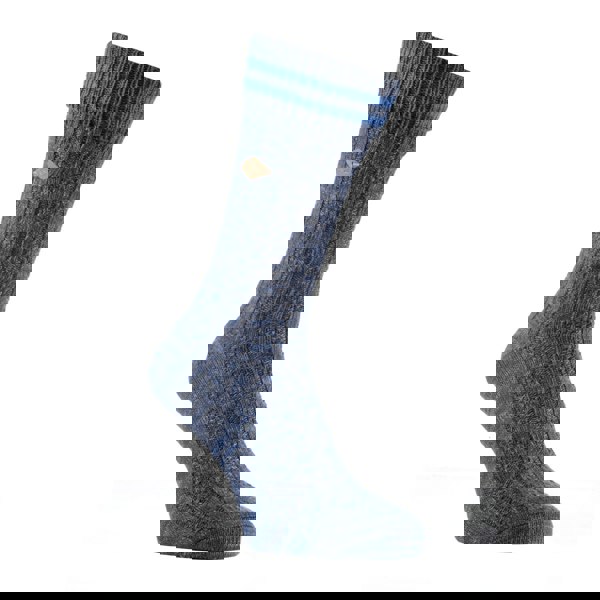 t4option1_1