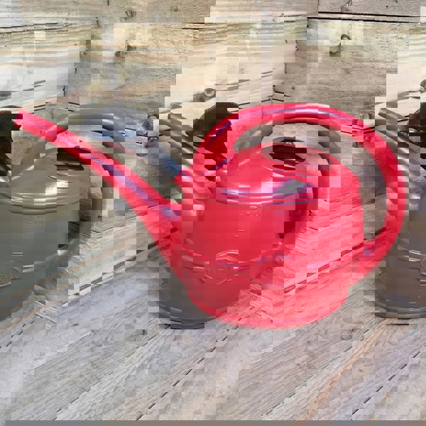 Samuel Alexander 10L Ward Garden Watering Can with Rose - Red
