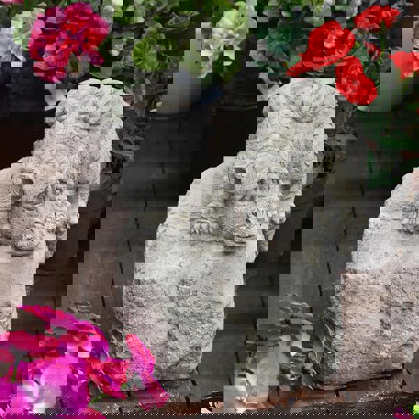 Cheeky Dragon On Rock Ornament