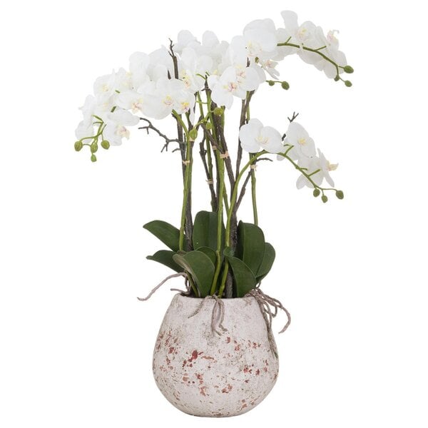 Wyld Haus Artificial Plant Large Stone Potted Orchid With Roots