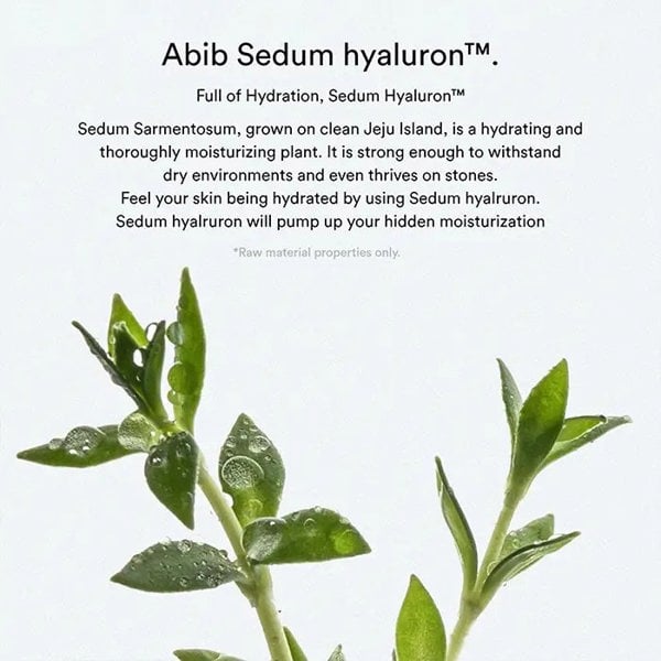 ABIB Sedum Hyaluron Pad : Hydrating Touch (75 Pads) 165ml