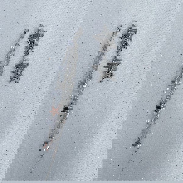 star earrings dangly earrings