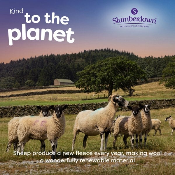 Slumberdown Wonderful Wool Duvet