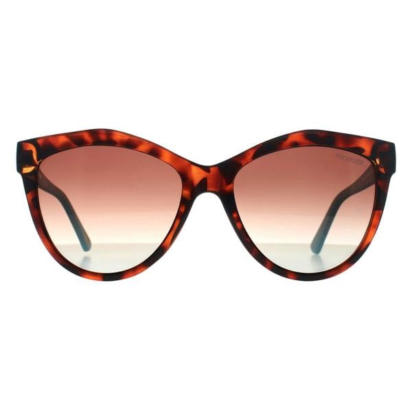 Skechers Sunglasses SE6104 52H Havana Light Blue Brown Gradient Polarized