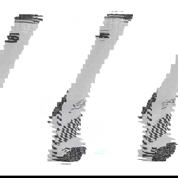 t4option1_1