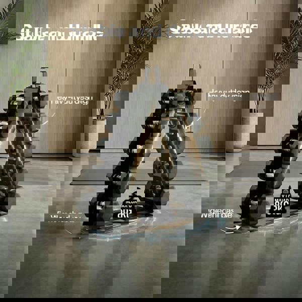 Centra Dumbbell Rack Stand Steel A-Frame Home Gym Weight Storage Holder 180LB