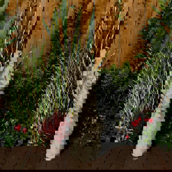 Elegant Memorial Angel Garden Ornament