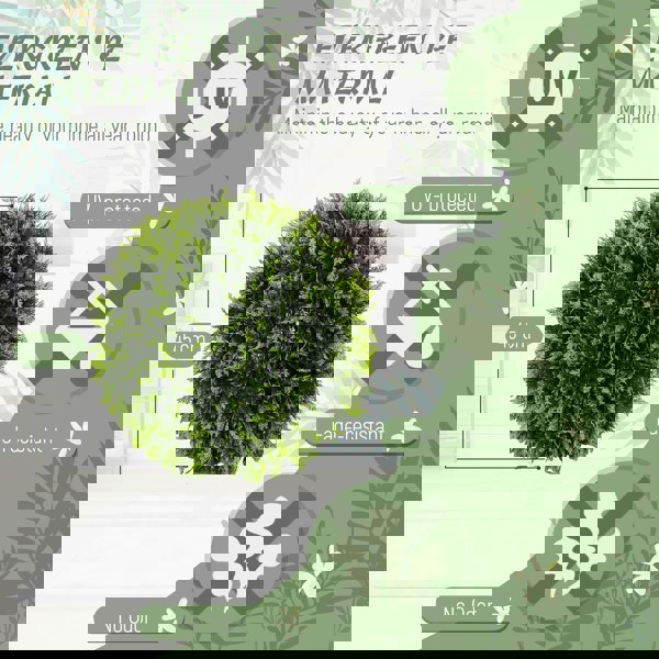 Artificial Pruned Plants