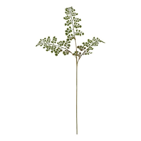 Wyld Haus Set of 3 Artificial Flowers Maidenhair Fern Stems