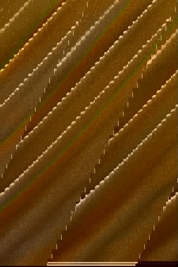 Draped Shoulder Velvet Corset Midi Dress - Olive Green DR4066