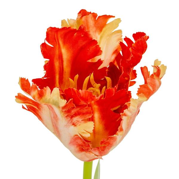 Wyld Haus Set of 3 Artificial Flowers Multi Pink Parrot Tulip Stems