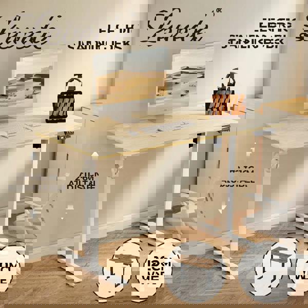 Levede Electric Standing Desk Height Adjustable with Memory Control 120cm Wide