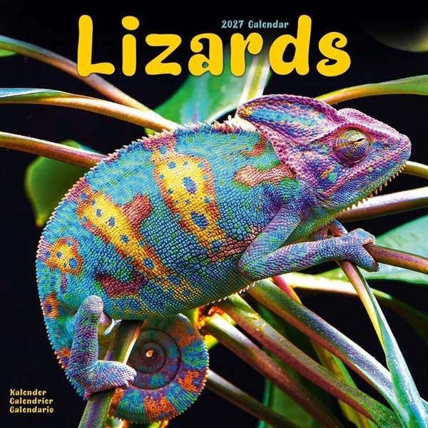 Lizards Calendar 2027, Wall Calendars, Month To View, Animals, Gift