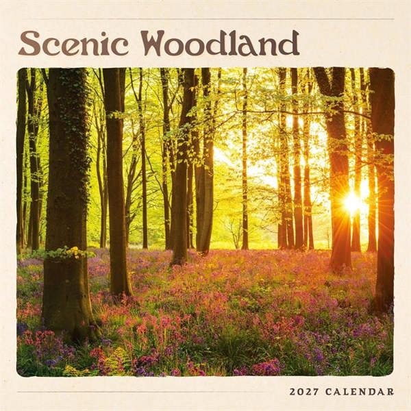 Scenic Woodland Calendar 2027, Wall Calendars, Month To View, Natural World, Gift