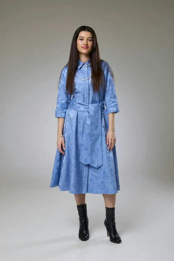Lioness by TF Sky Blue Petals Sleeved Dress