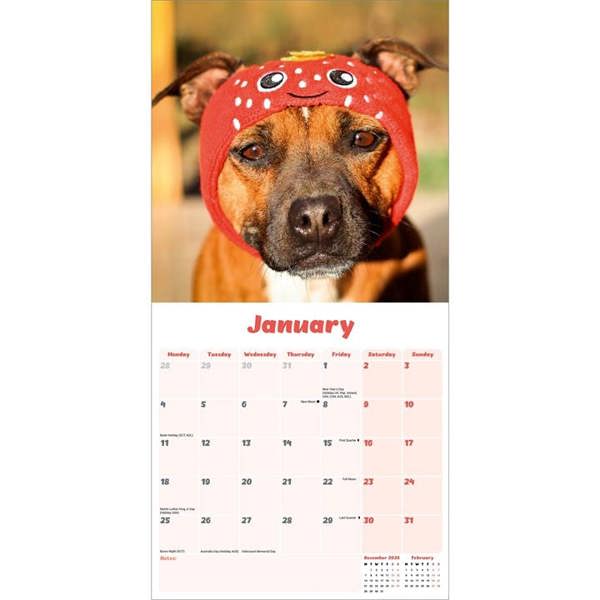 Staffies Calendar 2027, Wall Calendars, Month To View, Dogs, Gift