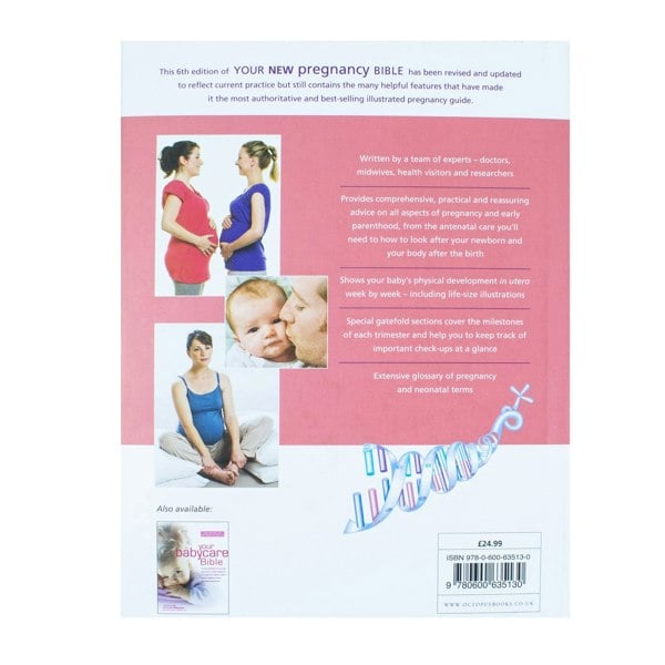 Hamlyn Your New Pregnancy Bible: The Experts' Guide to Pregnancy and Early Parenthood