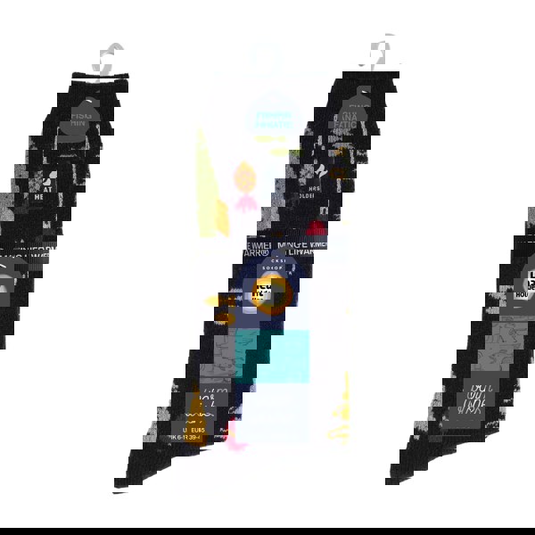 t4option1_0