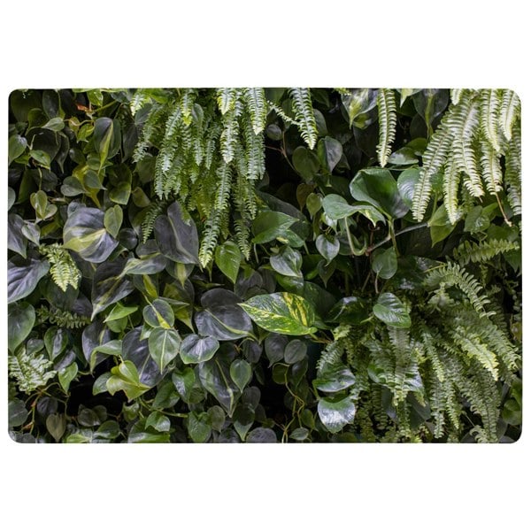 Benjamin Tate Design Trend biophilic design. Wall from plants, vertical garden,urban jungle, modern interior decoration (Rug)