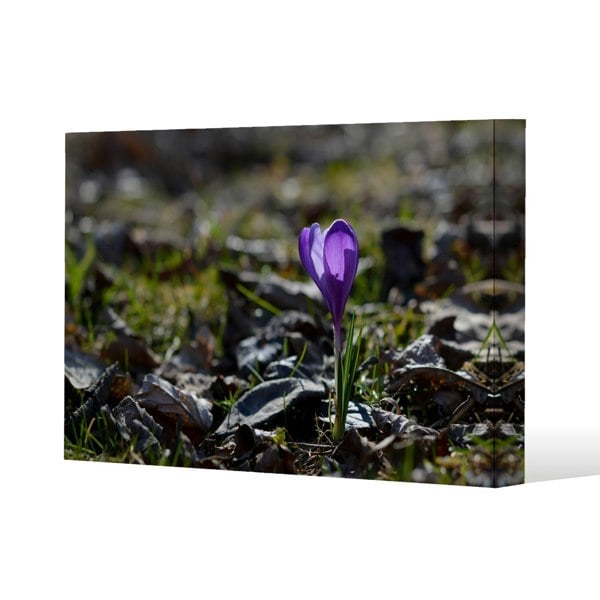 Benjamin Tate Design autumn flower bloom in nature Slim Style Canvas Print  30x40cm , 15mm Slim Real wood.