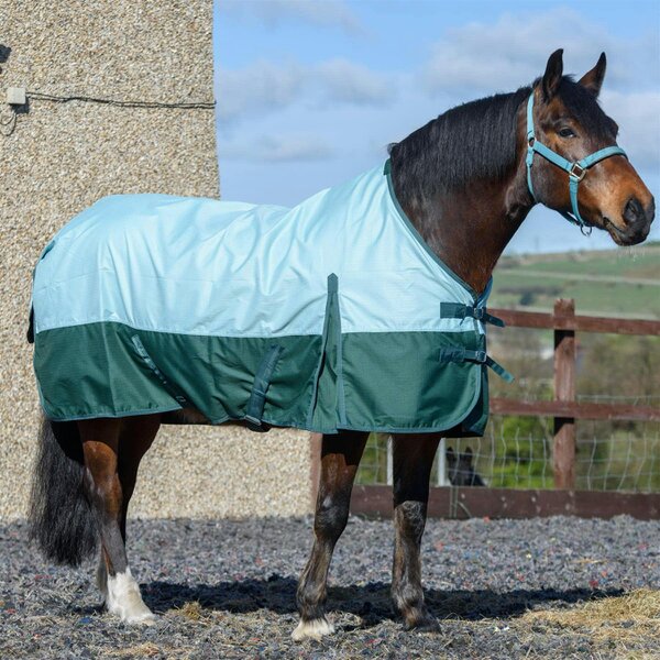 eQuitack 600D Outdoor Winter Lightweight Waterproof Horse Turnout Rug 0g No Fill Regular Neck Nylon Lined Double Buckle Pista Aqua/Bottle Green