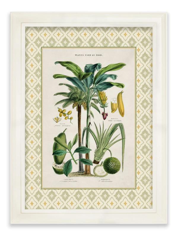 Exceptional Art c.1877 Plants Used as Food and Clothing with Tile Mount - Cream Hurstwood Frame