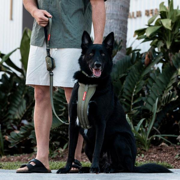 EzyDog Essential Zero Shock Dog Lead in Green