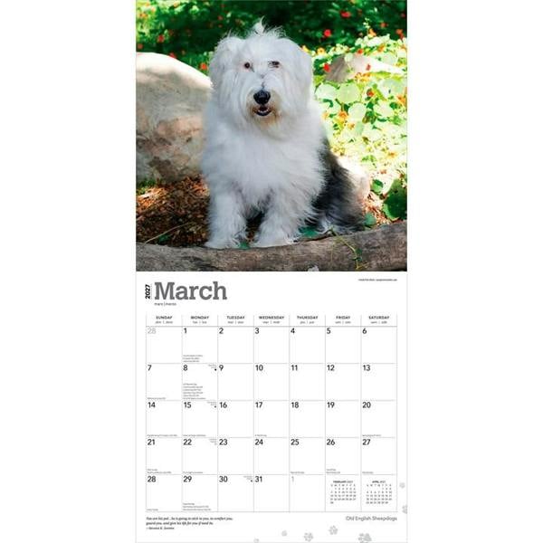 Old English Sheepdogs Calendar 2027, Wall Calendars, Month To View, Dogs, Gift